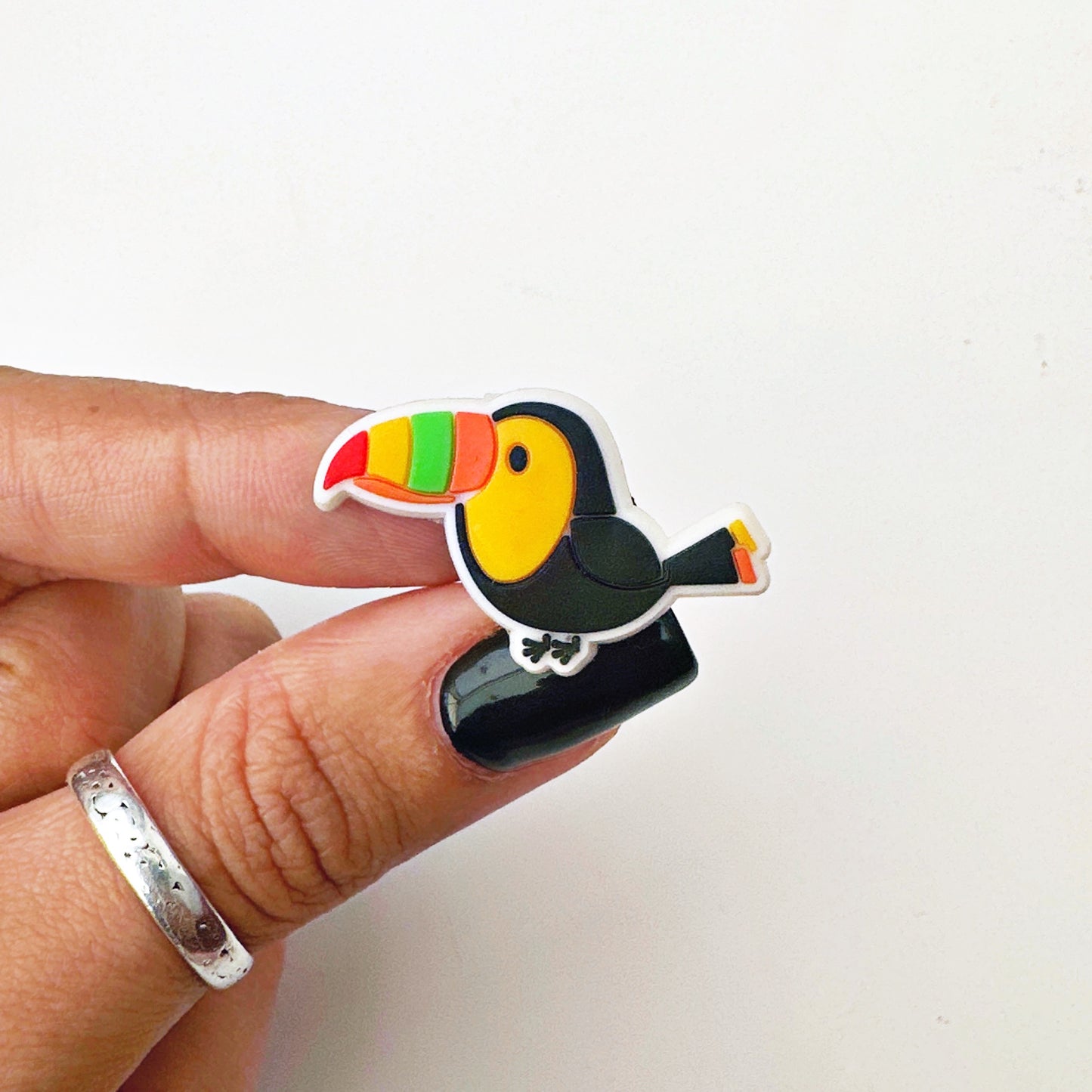 Toucan Charm