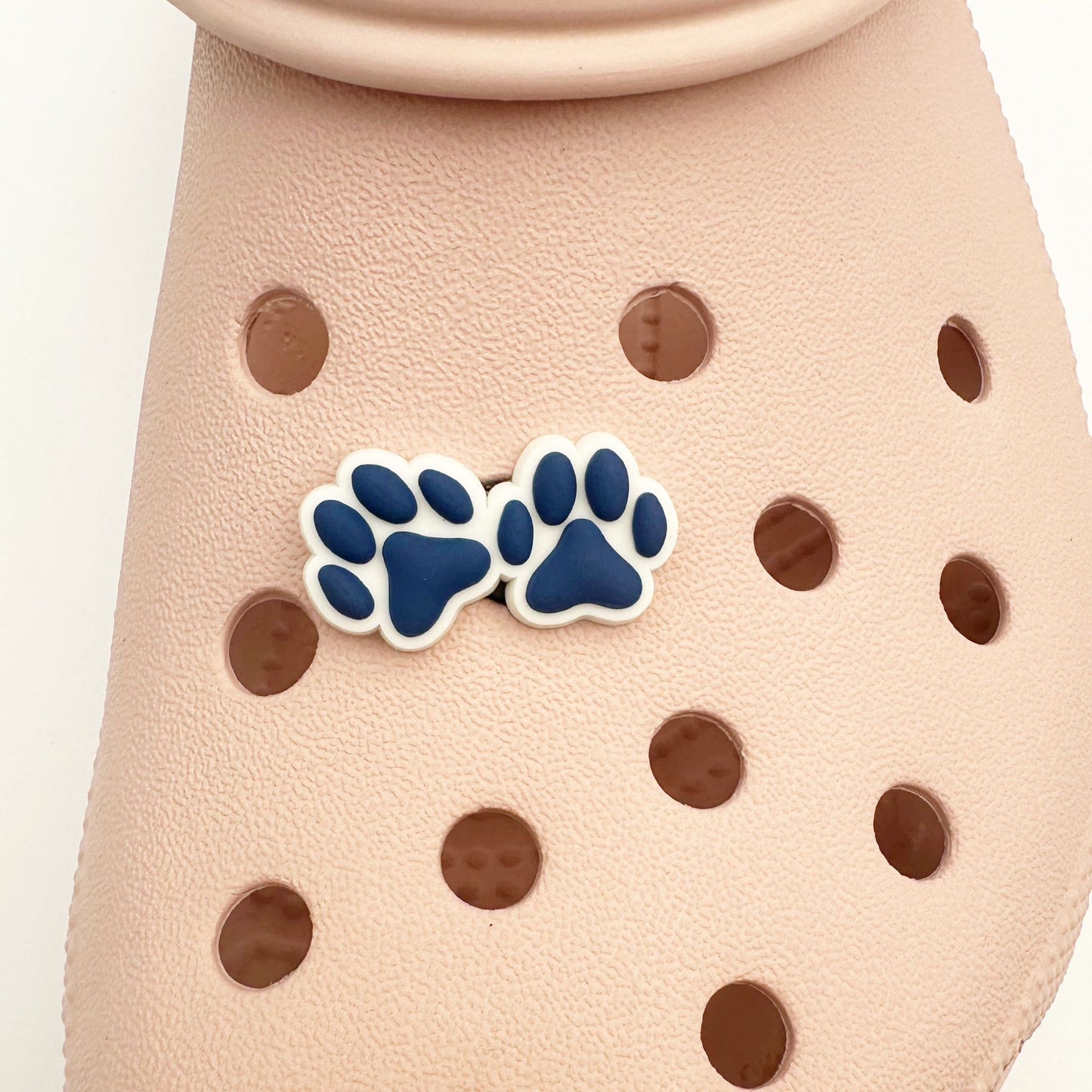 Blue Pawprints Charm